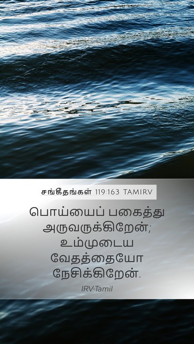 சங்கீதங்கள் 119:163 TAMIRV Bible Verse Image
