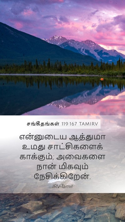 சங்கீதங்கள் 119:167 TAMIRV Bible Verse Image