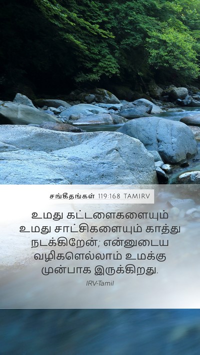 சங்கீதங்கள் 119:168 TAMIRV Bible Verse Image