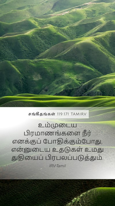 சங்கீதங்கள் 119:171 TAMIRV Bible Verse Image