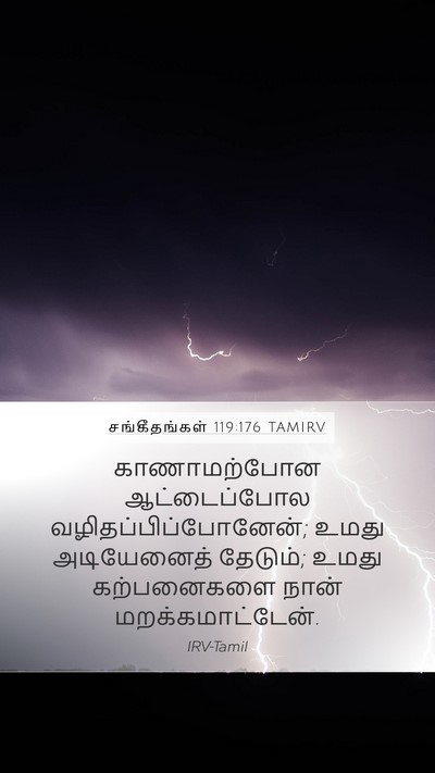 சங்கீதங்கள் 119:176 TAMIRV Bible Verse Image