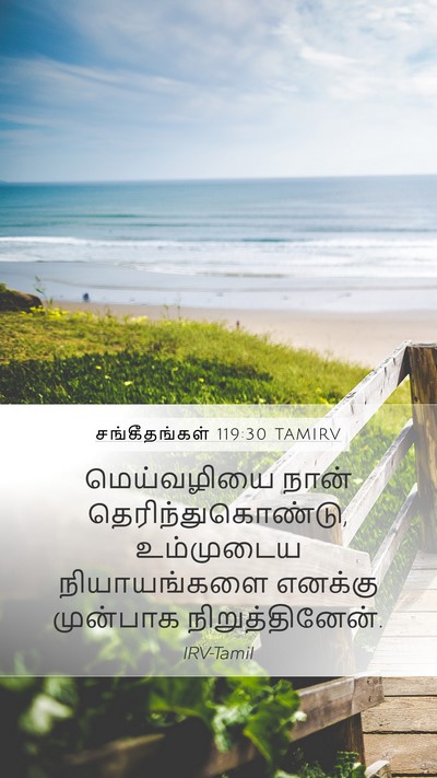 சங்கீதங்கள் 119:30 TAMIRV Bible Verse Image