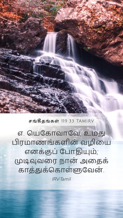 சங்கீதங்கள் 119:33 TAMIRV Bible Verse Image