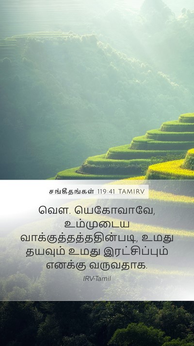 சங்கீதங்கள் 119:41 TAMIRV Bible Verse Image