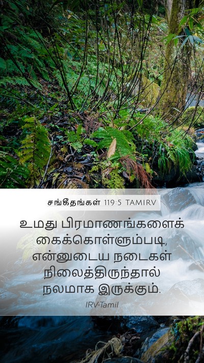 சங்கீதங்கள் 119:5 TAMIRV Mobile Phone Wallpaper - உமது - Mobile Bible Verse Wallpaper