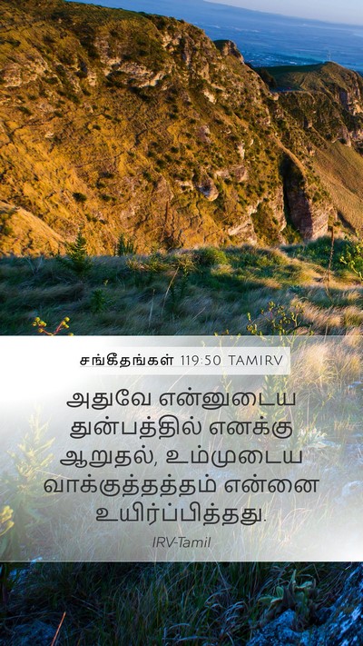 சங்கீதங்கள் 119:50 TAMIRV Mobile Phone Wallpaper - அதுவே என்னுடைய - Mobile Bible Verse Wallpaper