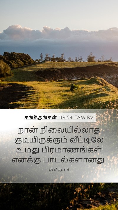 சங்கீதங்கள் 119:54 TAMIRV Bible Verse Image