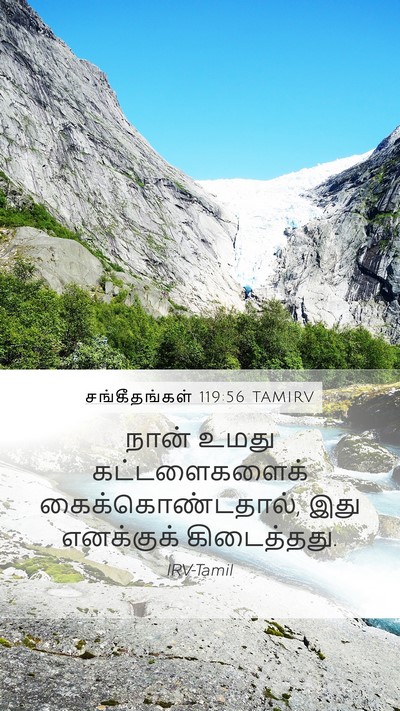 சங்கீதங்கள் 119:56 TAMIRV Mobile Phone Wallpaper - நான் உமது - Mobile Bible Verse Wallpaper