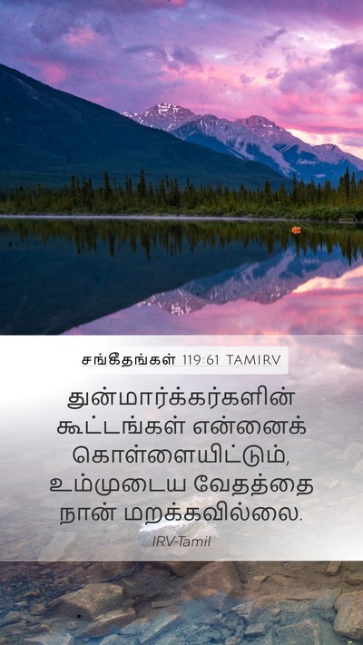 சங்கீதங்கள் 119:61 TAMIRV Bible Verse Image