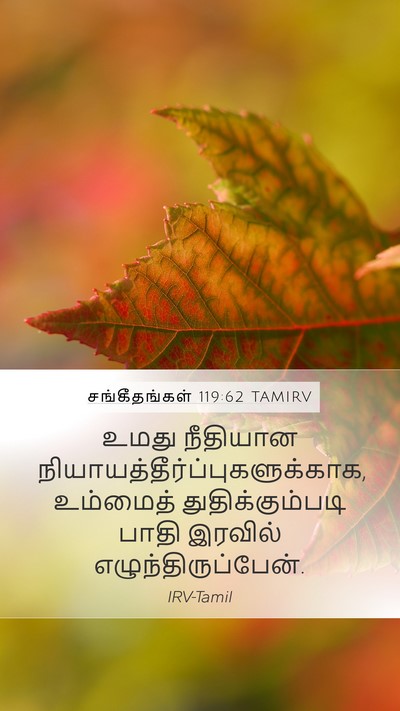 சங்கீதங்கள் 119:62 TAMIRV Bible Verse Image