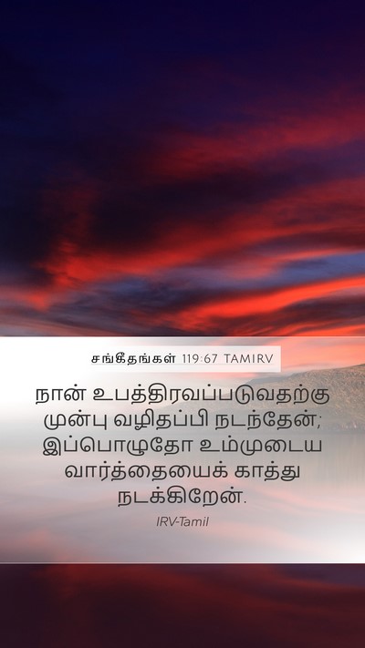 சங்கீதங்கள் 119:67 TAMIRV Bible Verse Image