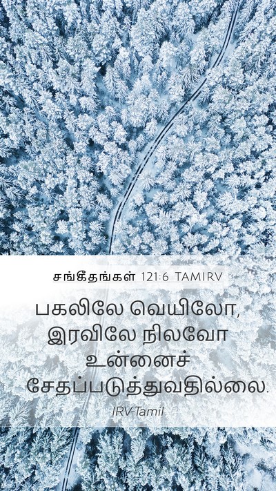 சங்கீதங்கள் 121:6 TAMIRV Bible Verse Image
