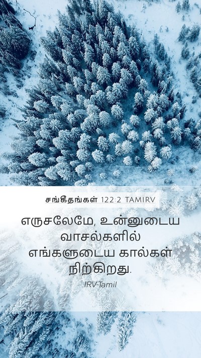 சங்கீதங்கள் 122:2 TAMIRV Mobile Phone Wallpaper - எருசலேமே, - Mobile Bible Verse Wallpaper
