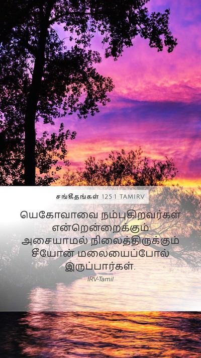சங்கீதங்கள் 125:1 TAMIRV Bible Verse Image