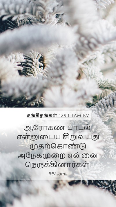 சங்கீதங்கள் 129:1 TAMIRV Bible Verse Image