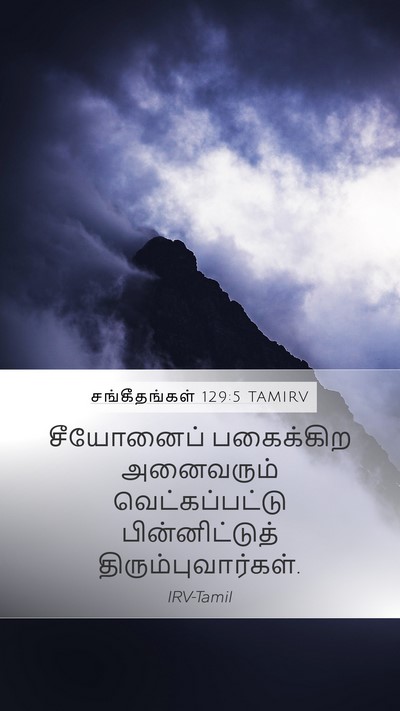 சங்கீதங்கள் 129:5 TAMIRV Bible Verse Image
