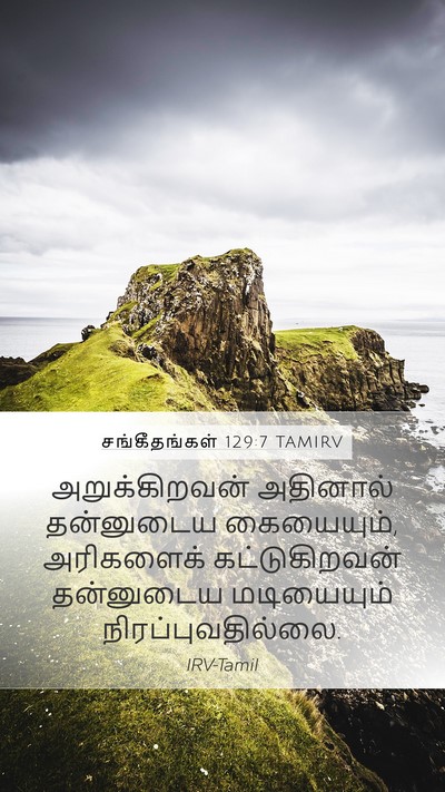 சங்கீதங்கள் 129:7 TAMIRV Bible Verse Image