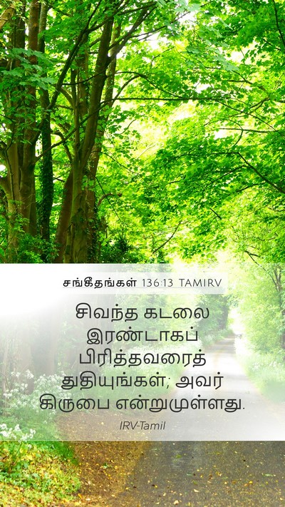 சங்கீதங்கள் 136:13 TAMIRV Bible Verse Image