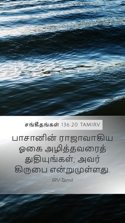 சங்கீதங்கள் 136:20 TAMIRV Mobile Phone Wallpaper - பாசானின் - Mobile Bible Verse Wallpaper