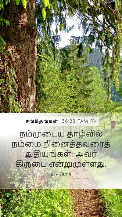 சங்கீதங்கள் 136:23 TAMIRV Bible Verse Image