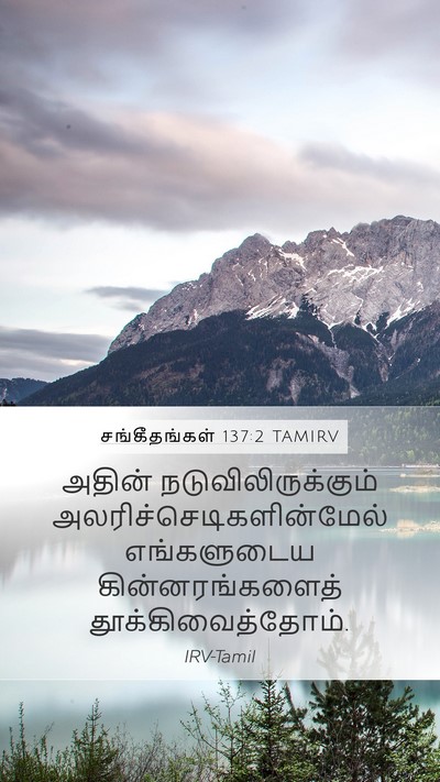 சங்கீதங்கள் 137:2 TAMIRV Mobile Phone Wallpaper - அதின் - Mobile Bible Verse Wallpaper