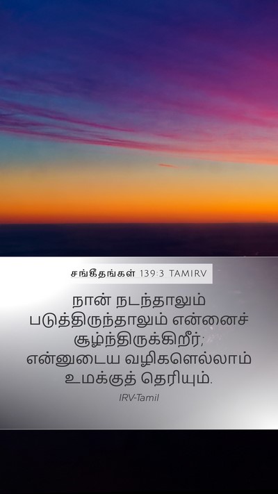 சங்கீதங்கள் 139:3 TAMIRV Bible Verse Image