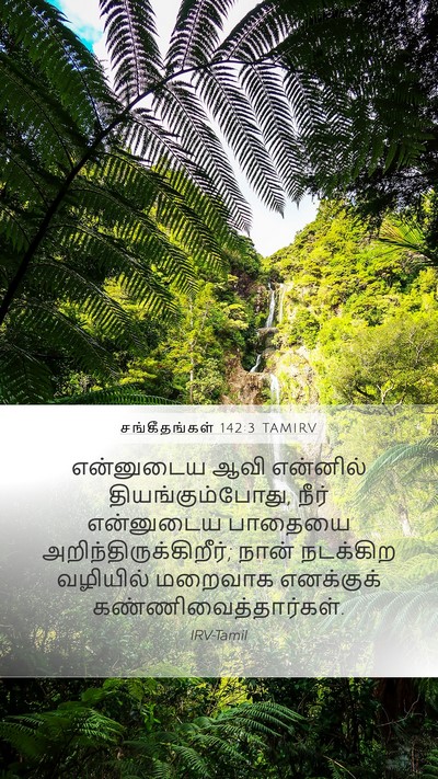 சங்கீதங்கள் 142:3 TAMIRV Bible Verse Image