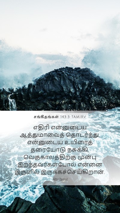சங்கீதங்கள் 143:3 TAMIRV Bible Verse Image