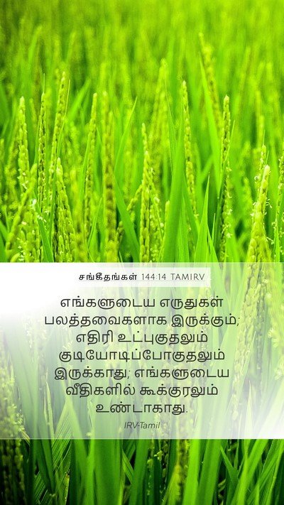 சங்கீதங்கள் 144:14 TAMIRV Mobile Phone Wallpaper - எங்களுடைய - Mobile Bible Verse Wallpaper