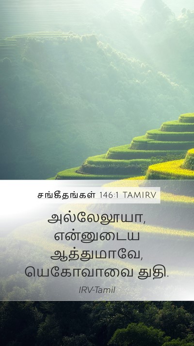சங்கீதங்கள் 146:1 TAMIRV Bible Verse Image