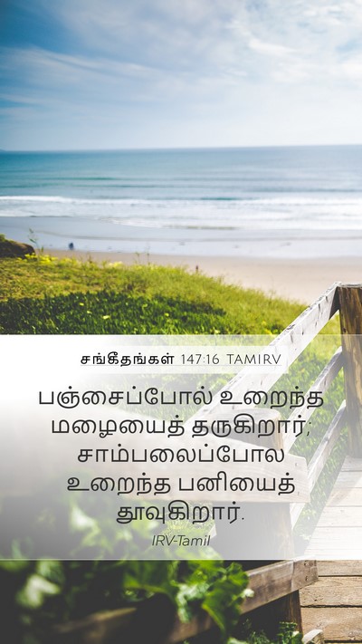 சங்கீதங்கள் 147:16 TAMIRV Mobile Phone Wallpaper - பஞ்சைப்போல் - Mobile Bible Verse Wallpaper