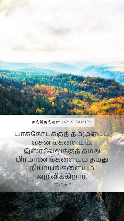 சங்கீதங்கள் 147:19 TAMIRV Bible Verse Image