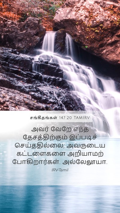 சங்கீதங்கள் 147:20 TAMIRV Bible Verse Image