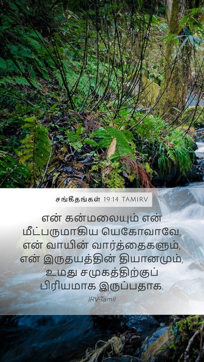 சங்கீதங்கள் 19:14 TAMIRV Bible Verse Image