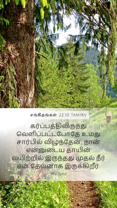 சங்கீதங்கள் 22:10 TAMIRV Bible Verse Image