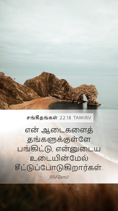 சங்கீதங்கள் 22:18 TAMIRV Bible Verse Image