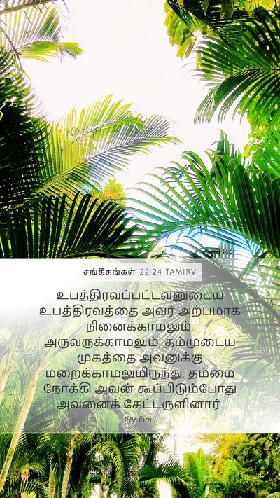 சங்கீதங்கள் 22:24 TAMIRV Bible Verse Image