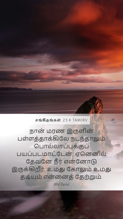சங்கீதங்கள் 23:4 TAMIRV Bible Verse Image