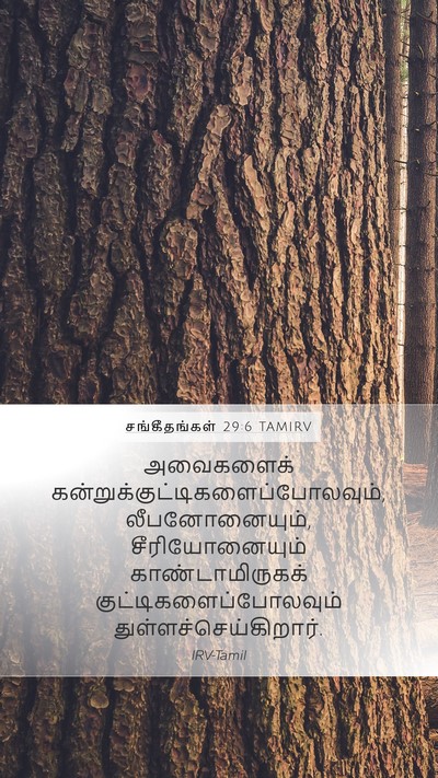 சங்கீதங்கள் 29:6 TAMIRV Bible Verse Image