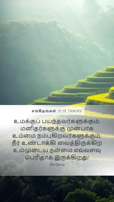 சங்கீதங்கள் 31:19 TAMIRV Bible Verse Image
