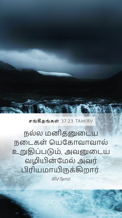சங்கீதங்கள் 37:23 TAMIRV Bible Verse Image