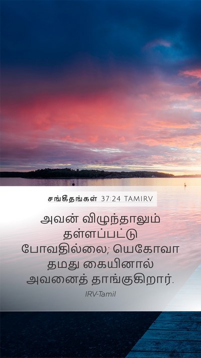 சங்கீதங்கள் 37:24 TAMIRV Bible Verse Image