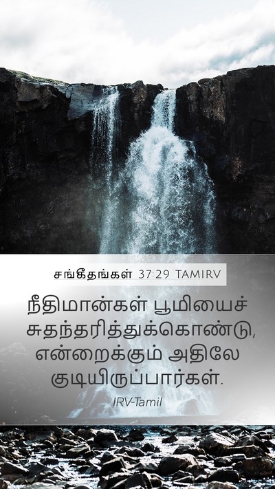 சங்கீதங்கள் 37:29 TAMIRV Bible Verse Image