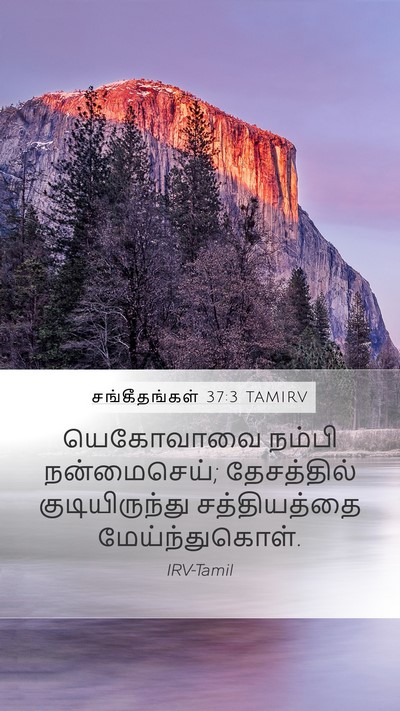 சங்கீதங்கள் 37:3 TAMIRV Bible Verse Image