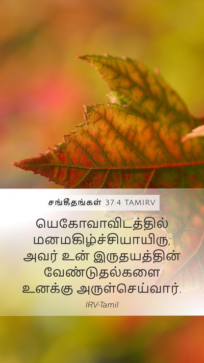 சங்கீதங்கள் 37:4 TAMIRV Bible Verse Image