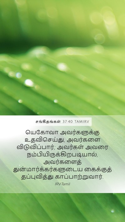 சங்கீதங்கள் 37:40 TAMIRV Bible Verse Image