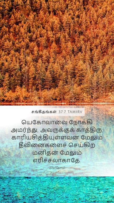 சங்கீதங்கள் 37:7 TAMIRV Bible Verse Image
