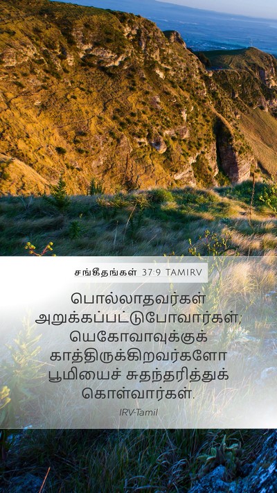 சங்கீதங்கள் 37:9 TAMIRV Bible Verse Image