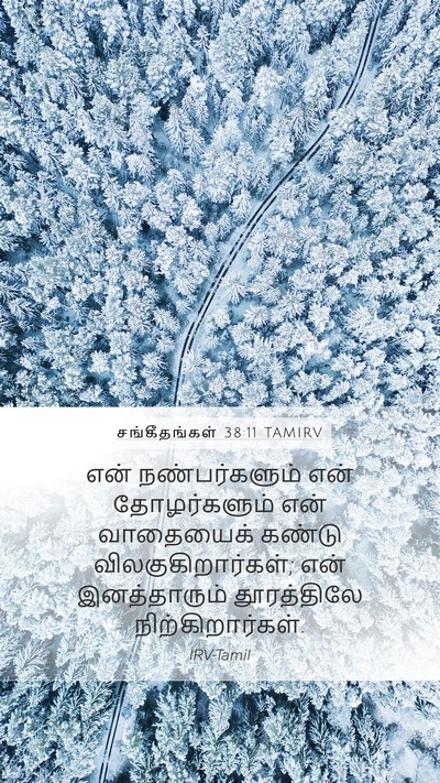 சங்கீதங்கள் 38:11 TAMIRV Mobile Phone Wallpaper - என் நண்பர்களும் - Mobile Bible Verse Wallpaper