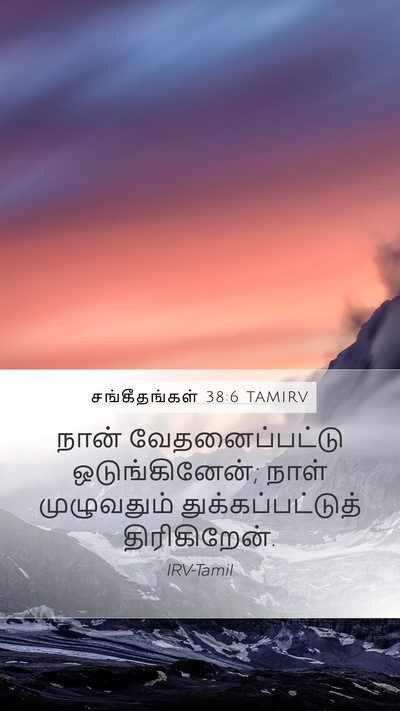 சங்கீதங்கள் 38:6 TAMIRV Bible Verse Image